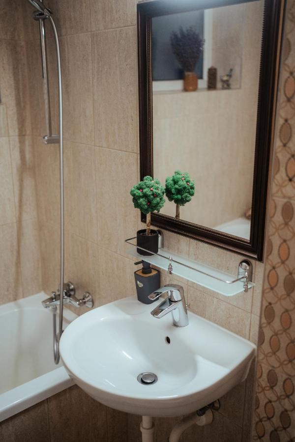 Luxury Apartments Şelimbăr 외부 사진